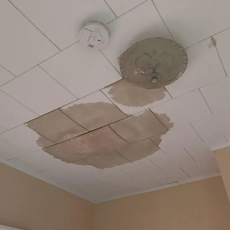 Ceiling Water Damage Repair in Cliffwood Beach, NJ
